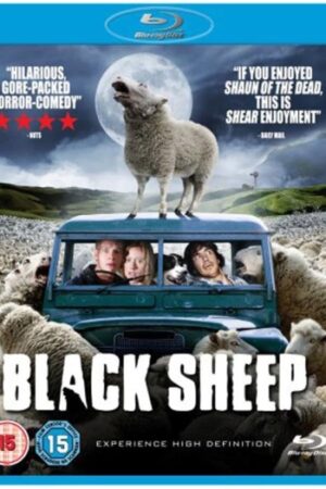 Black20Sheep202006.jpg