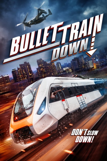 Bullet20Train20Down202022.jpg